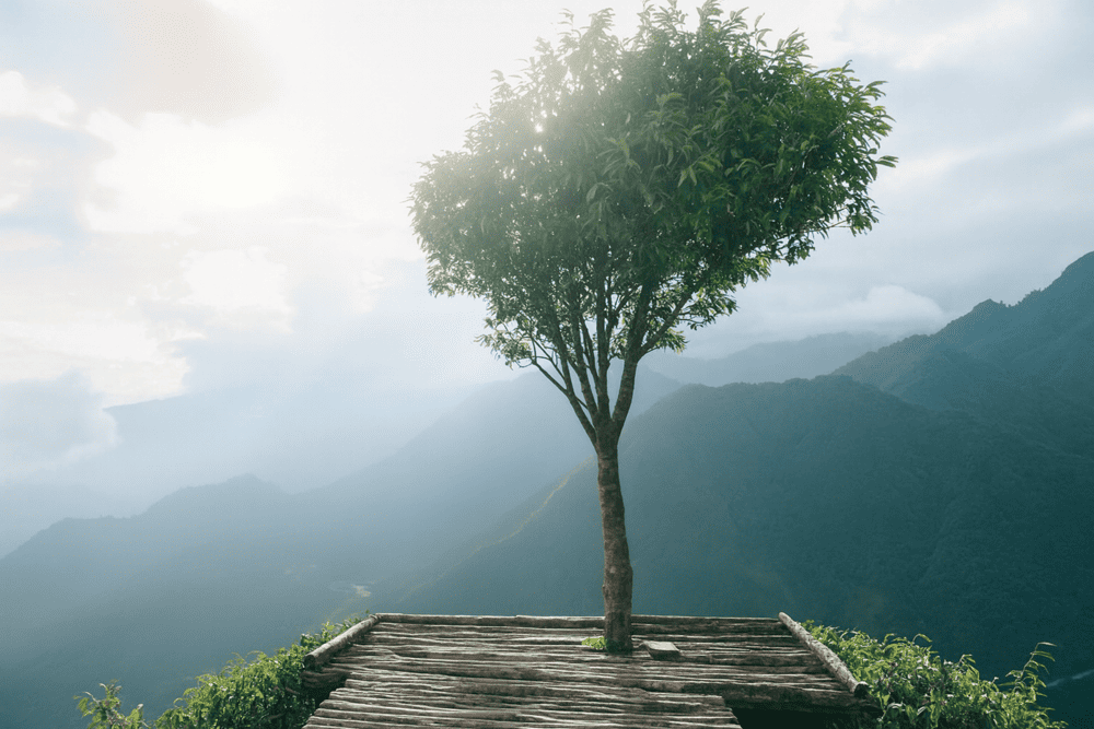 Each step across toward the trees feels like a gentle challenge to your nerves